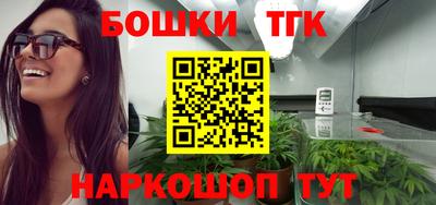 прущие грибы Комсомольск-на-Амуре