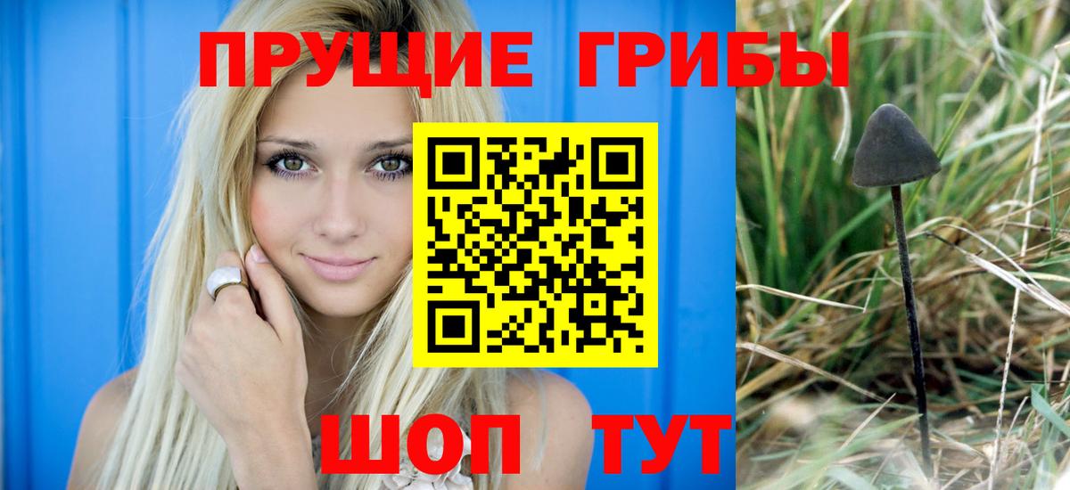 Галлюциногенные грибы Cubensis  Вход с VPN  Тайшет  Галлюциногенные грибы GOLDEN TEACHER 